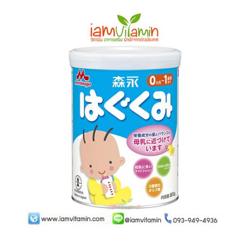 นมผงเด็ก Morinaga Hagukumi