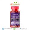 Puritan's Pride Grapeseed Extract 100 mg