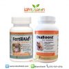 Ovaboost และ Fertilaid for women ปรับสมดุลฮอร์โมน ช่วยให้ไข่ตก และเพิ่มคุณภาพไข่