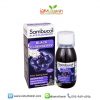 Sambucol Black Elderberry Original 120ml