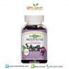 Nature's Way Sambucus Standardized Elderberry Gummies