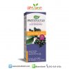 Nature's Way Sambucus Sugar-Free Elderberry Syrup