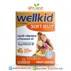 VitaBiotics Wellkid Soft Jelly 30 Pastilles Orange กัมมี่ วิตามินรวม 11ชนิด สำหรับเด็ก 4-12 ปี