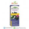 Nature's Way Sambucus Immune Syrup 120ml